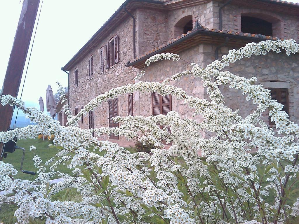 Agriturismo Il Poggiolo مونتيميرانو المظهر الخارجي الصورة