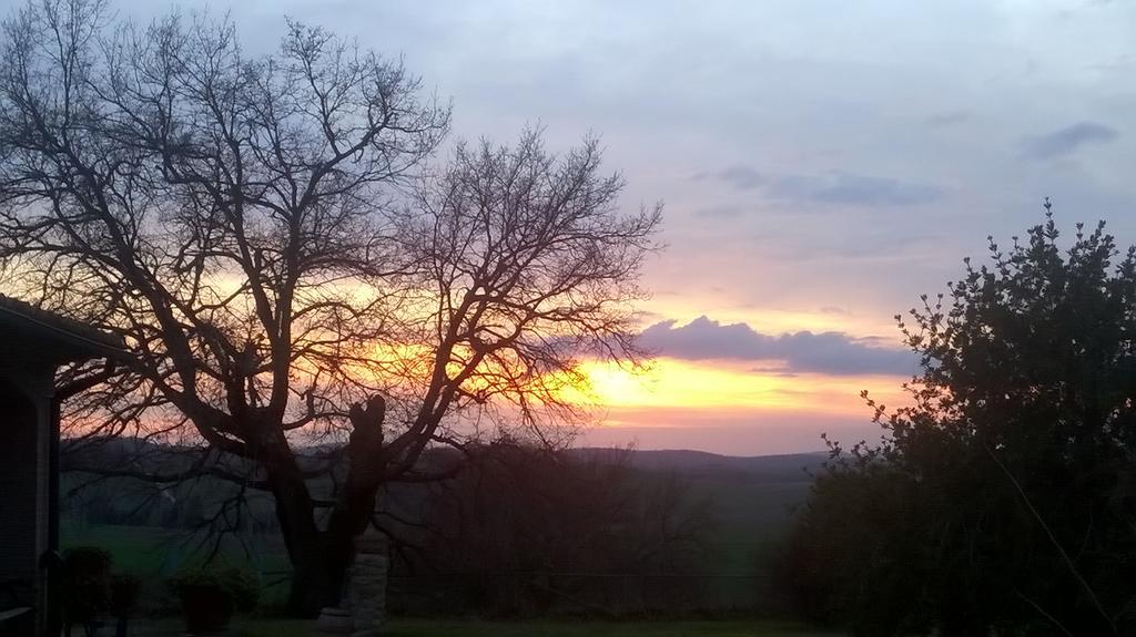 Agriturismo Il Poggiolo مونتيميرانو المظهر الخارجي الصورة